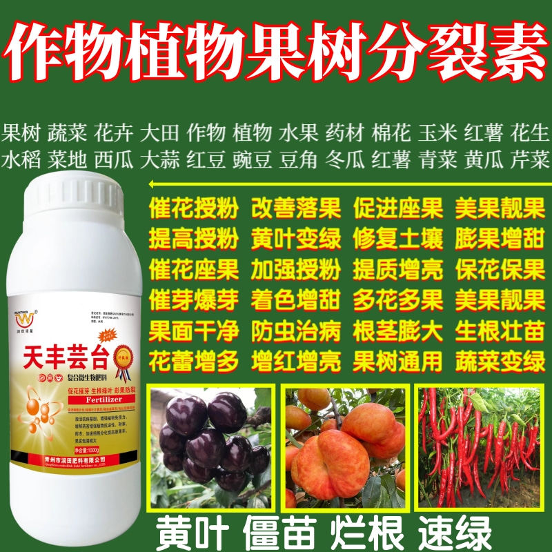 作物植物果树分裂素提高座果率保花保果增产增收植物蔬菜叶面肥料