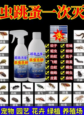 臭虫跳蚤一次灭净强效害虫通杀地上地下公共场所杀虫杀卵宠物虫