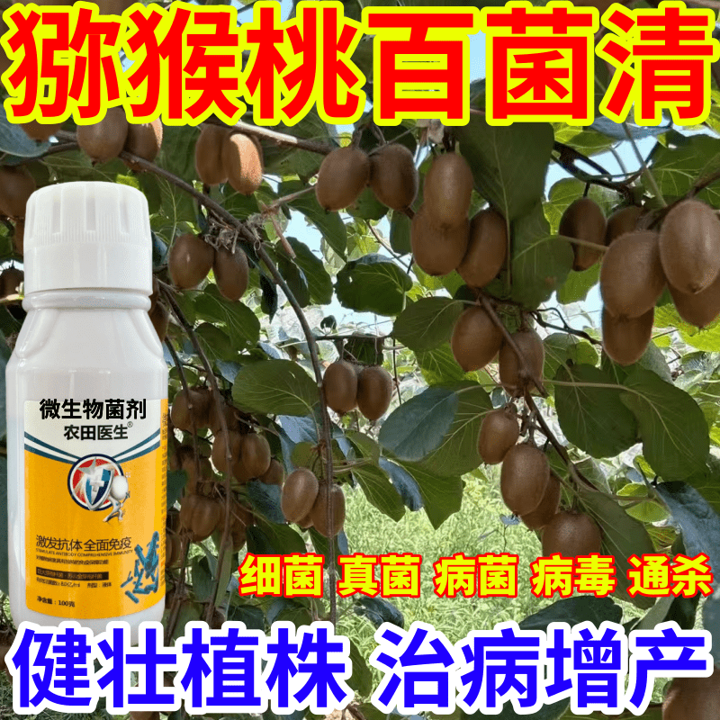 猕猴桃百菌清毒菌病微生物菌剂农田医生果树蔬菜花卉霜霉病炭疽病