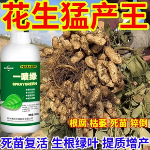 花生猛增产绿死苗烂根防根腐蔬菜果树绿植花卉通用绿叶壮叶面肥