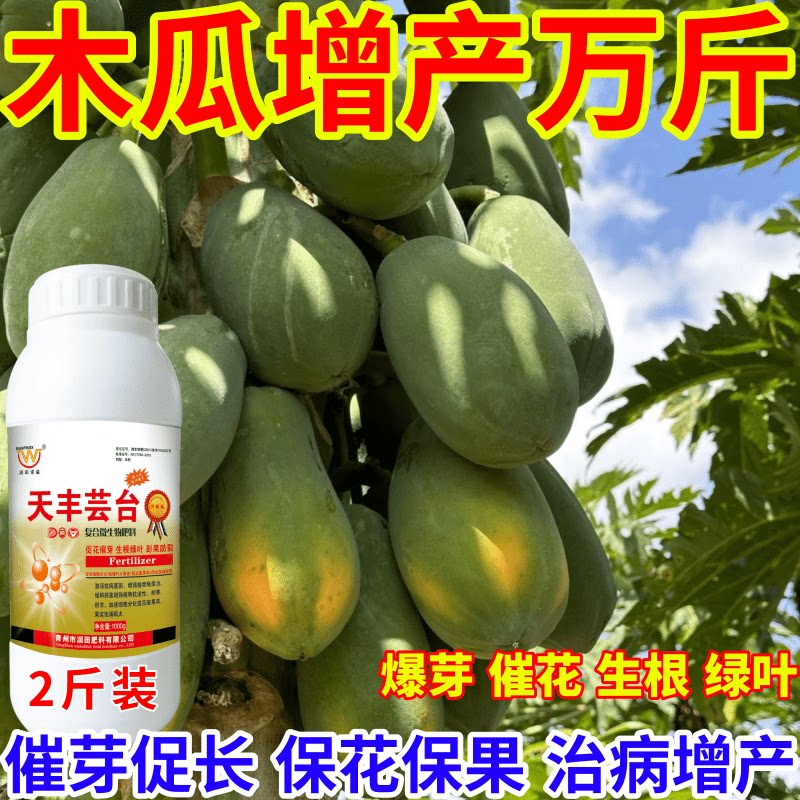 木瓜增产万斤丰芸苔素叶面肥保花保果催芽增产增收爆芽生长调节