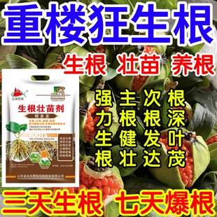 重楼狂生根根深叶茂主根健株次根发达果树蔬菜花卉爆根生根壮苗剂
