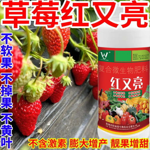 草莓红又亮用升级版红又亮微生物肥料增红增甜膨果防裂上蜡除锈剂