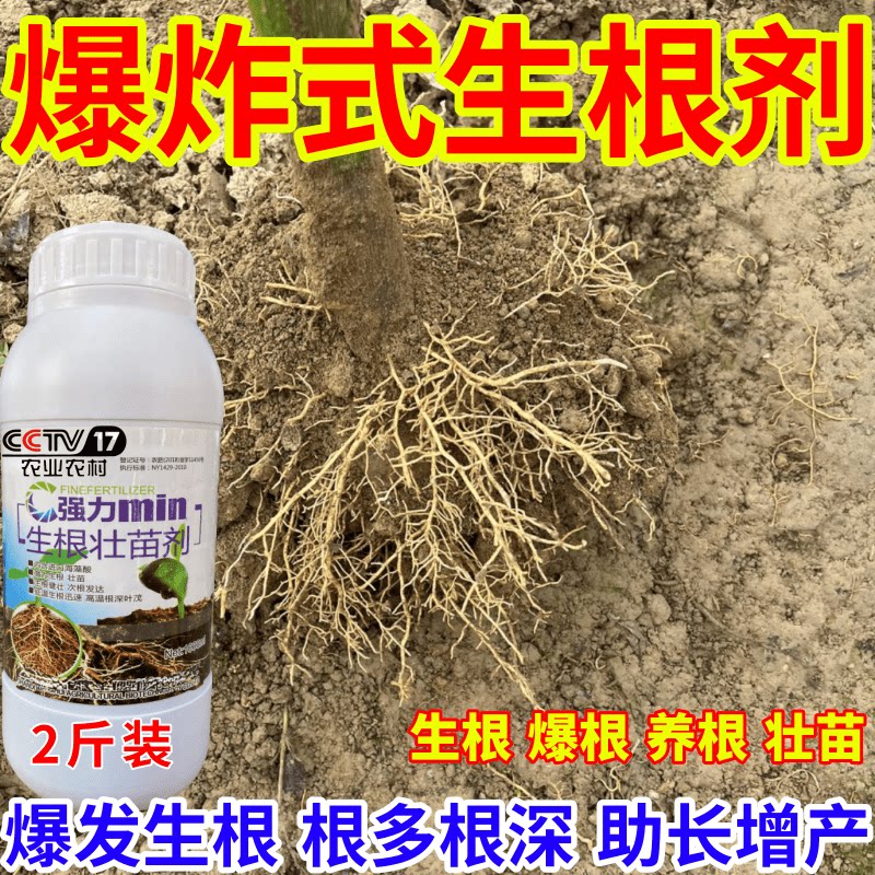 爆炸式生根剂壮苗剂速效生根液大树移植苗木扦插果树蔬菜生根剂
