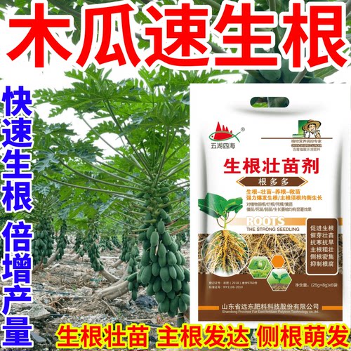 木瓜速生根面肥扦插移栽猛生根原液腐殖酸水溶肥料育苗膨大根茎
