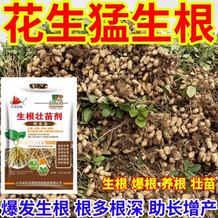 花生猛生根爆发生根育苗膨大根茎叶面肥扦插移栽果树蔬菜花卉通用