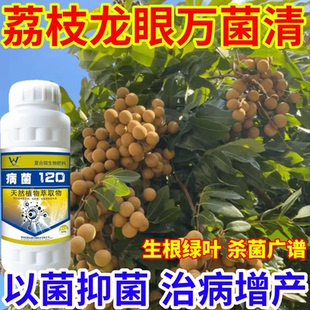 荔枝龙眼万菌清细菌通杀霜霉病蔬菜果树白粉病晚疫病通用型杀菌剂