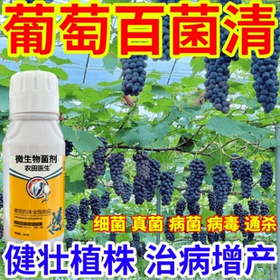 葡萄百菌清病毒菌病微生物菌劑農(nóng)田醫(yī)生果樹蔬菜花卉霜霉病炭疽病