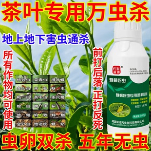 茶叶专用万虫杀蛛螨蚜虫果树蔬菜花卉通用助剂生物溶解剂杀虫杀卵