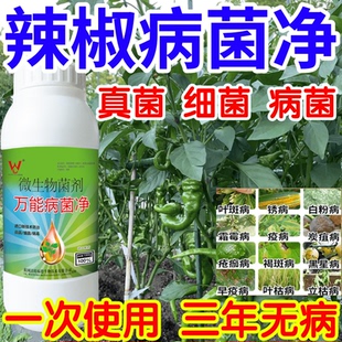 辣椒病菌净白粉病灰霉病锈病绿植花卉果树蔬菜病害清一喷清杀菌剂