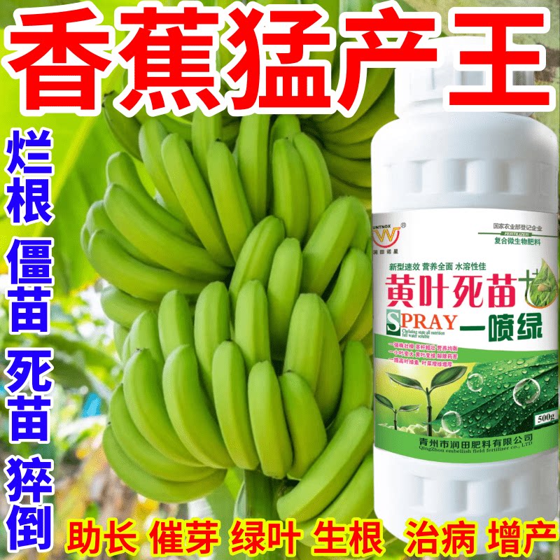 香蕉猛产王喷绿变绿保花保果蔬菜花卉果树植物小叶黄叶卷叶叶面肥