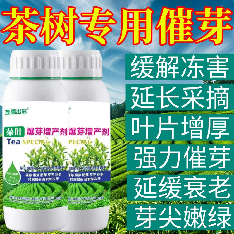 茶树专用催芽素专用叶面肥爆新芽剂强力催芽增产促长促花芽叶面肥