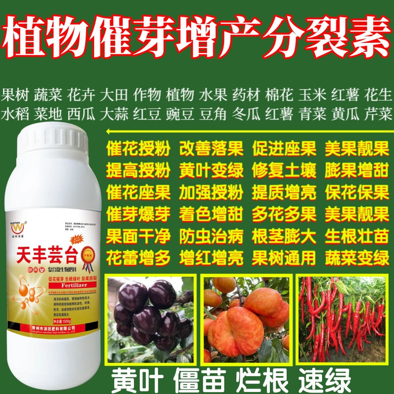 植物催芽增产分裂素提高座果率保花保果增产增收植物蔬菜叶面肥料