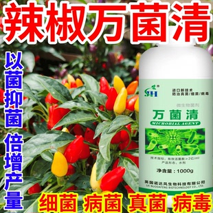 辣椒万菌清进口配方以菌抑菌抗重茬防根腐白粉病早晚疫病作物通用