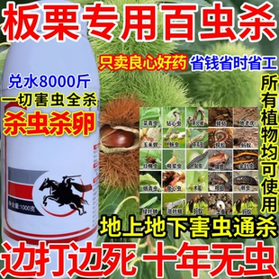 板栗专用杀虫剂高浓度农药杀虫百虫农用果树青菜花卉杀卵杀内吸剂