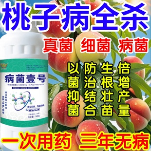 桃子病全杀以菌抑菌病菌壹号生根绿叶生物防治果树蔬菜花卉杀菌剂