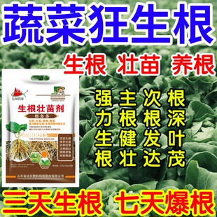 蔬菜狂生根根深叶茂主根健株次根发达果树蔬菜花卉爆根生根壮苗剂