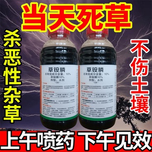 强效除草烂根剂一扫光杂草烂根连根死草胺膦农药灭草剂杀草剂高效