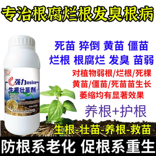 专治根腐烂根发臭根病根护生根原液快速生根剂正品强力养根发根剂
