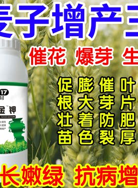 麦子增产王催花爆芽壮苗绿叶生根果树蔬菜花卉通用芽长嫩绿叶面肥