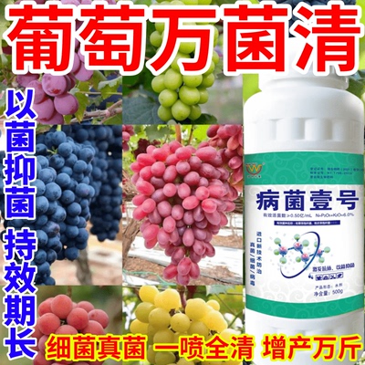 葡萄万菌清早霜霉病晚疫病白粉病真菌细菌病毒稻瘟病锈病一瓶搞定