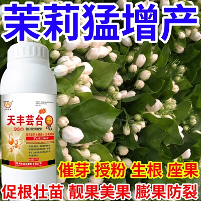 茉莉猛增产保花保果催芽增产增收爆芽生长调节叶面肥果树蔬菜花卉