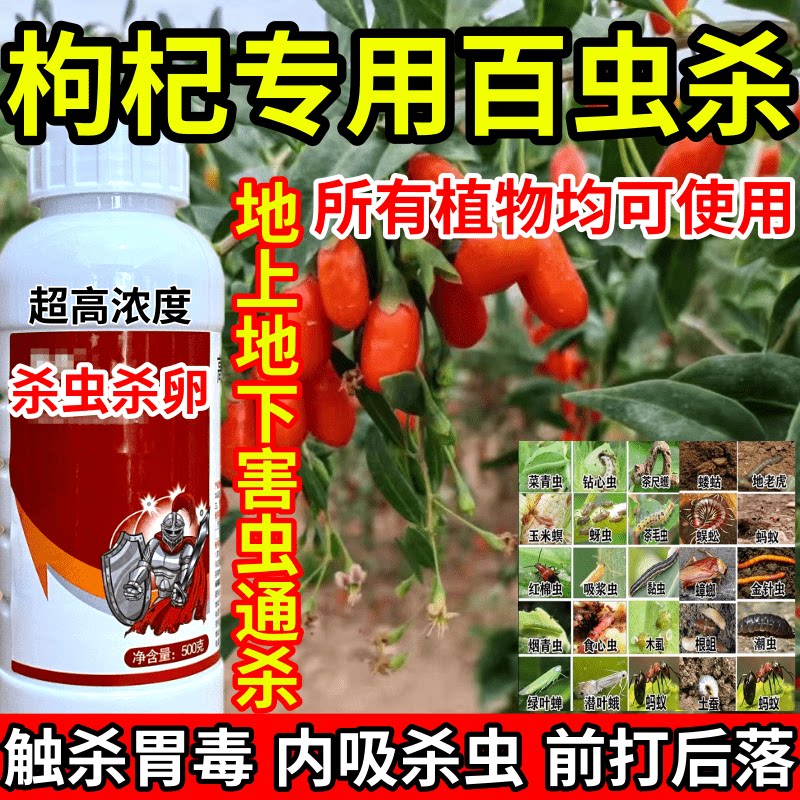 枸杞专用百虫杀下害虫通杀果树蔬菜花卉蓟马蚜虫红蜘蛛杀虫剂农药