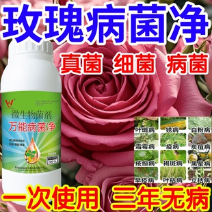 玫瑰病菌净白粉病灰霉病锈病绿植花卉果树蔬菜病害清一喷清杀菌剂