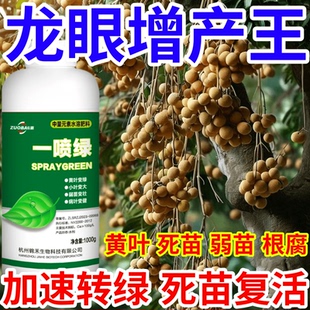 龙眼增产王黄叶死苗烂根防根腐蔬菜果树绿植花卉生根壮苗叶面肥料
