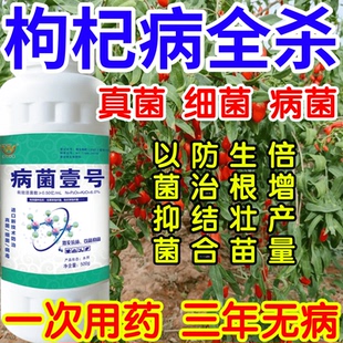 枸杞病全杀以菌抑菌病菌壹号生根绿叶生物防治果树蔬菜花卉杀菌剂