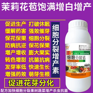 茉莉花苞饱满增白增产素花芽分化增产增收植物作物果树快速生长素