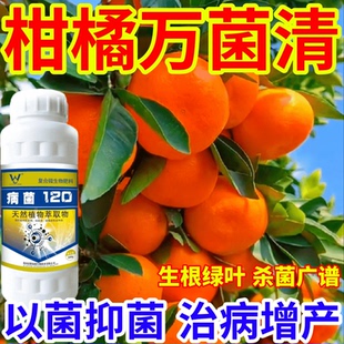 柑橘万菌清病菌细菌通杀霜霉病蔬菜果树白粉病晚疫病通用型杀菌剂