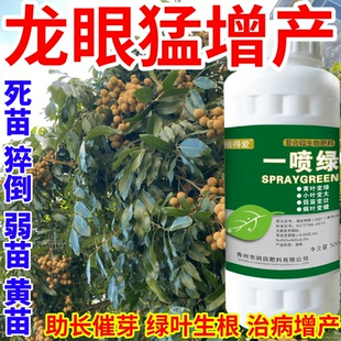 龙眼猛增产黄叶变绿叶蔬菜花卉果树死苗通用烂根黄叶专用叶面肥料