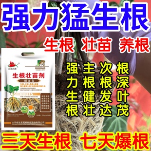 强力猛生根根深叶茂主根健株次根发达果树蔬菜花卉爆根生根壮苗剂