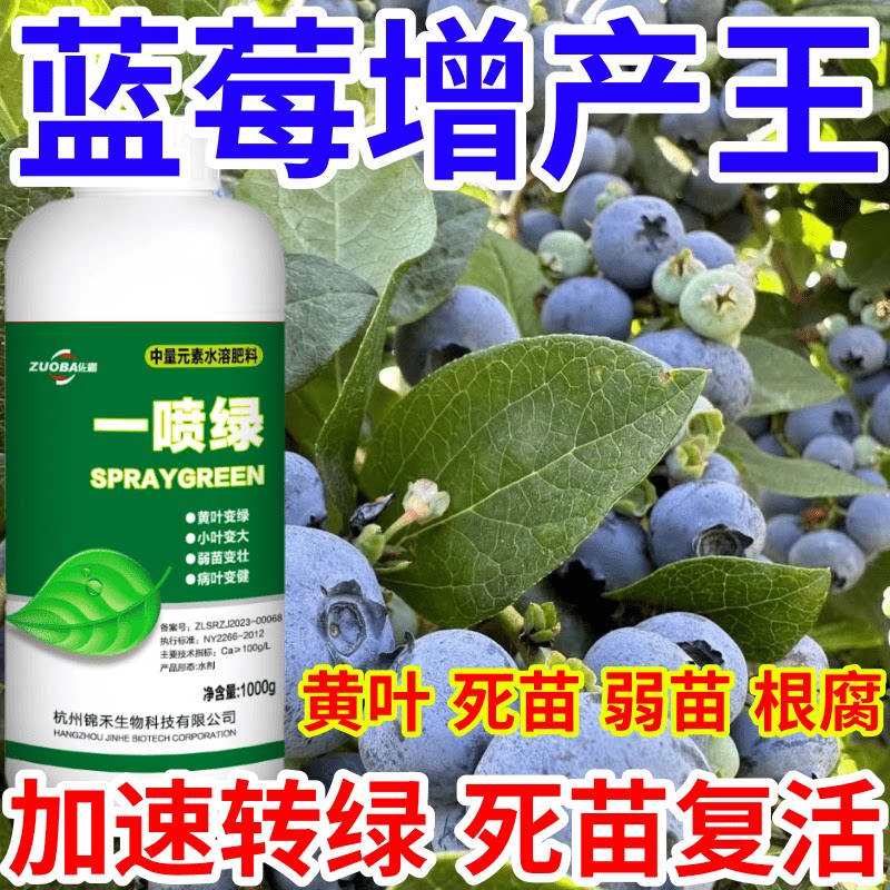 蓝莓增产王黄叶死苗烂根防根腐蔬菜果树绿植花卉生根壮苗叶面肥料