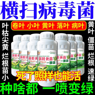 横扫病毒菌苗急救烂根一喷绿黄叶枯叶死苗烂叶喷活抗病抗逆叶面肥
