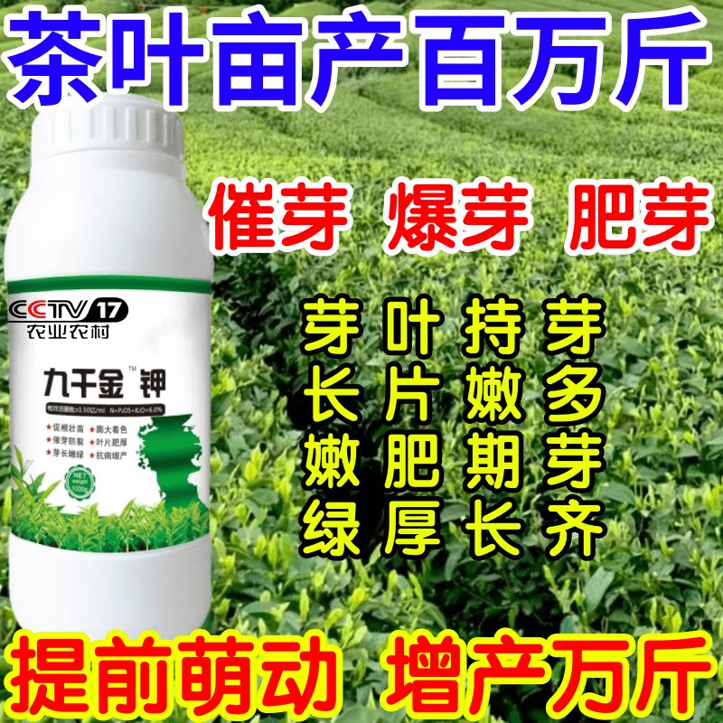 茶叶亩产百万斤爆芽芽多芽肥芽长芽嫩多得采不尽茶树专用叶面肥料