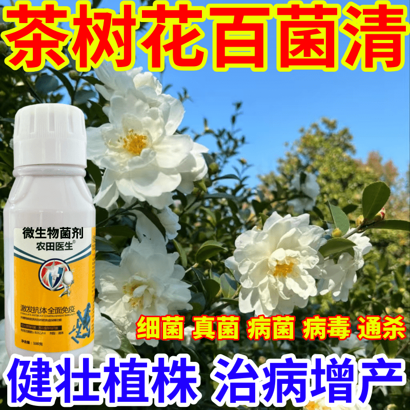 茶树花百菌清毒菌病微生物菌剂农田医生果树蔬菜花卉霜霉病炭疽病