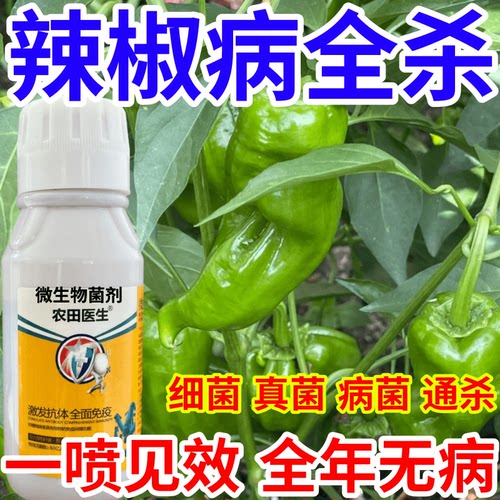 辣椒病全杀微生物菌剂肥料专治作物菌核病软腐通用农田医生叶面肥