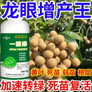 龙眼增产王黄叶死苗烂根防根腐蔬菜果树绿植花卉生根壮苗叶面肥料