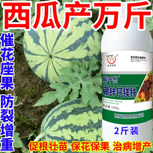 西瓜产万斤钙镁硼锌铁绿叶靓果膨果多果美果提质丰产促花促果作物