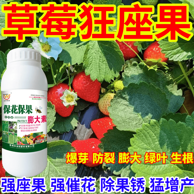 草莓狂座果膨大素增产预防畸形防裂果除果锈高产果树蔬菜肥营养液