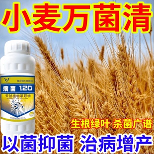 小麦万菌清病菌细菌通杀霜霉病蔬菜果树白粉病晚疫病通用型杀菌剂