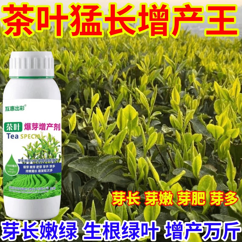 茶叶猛长增产王树专用肥茶叶催芽剂芽长嫩绿抗寒提前出芽芽多壮
