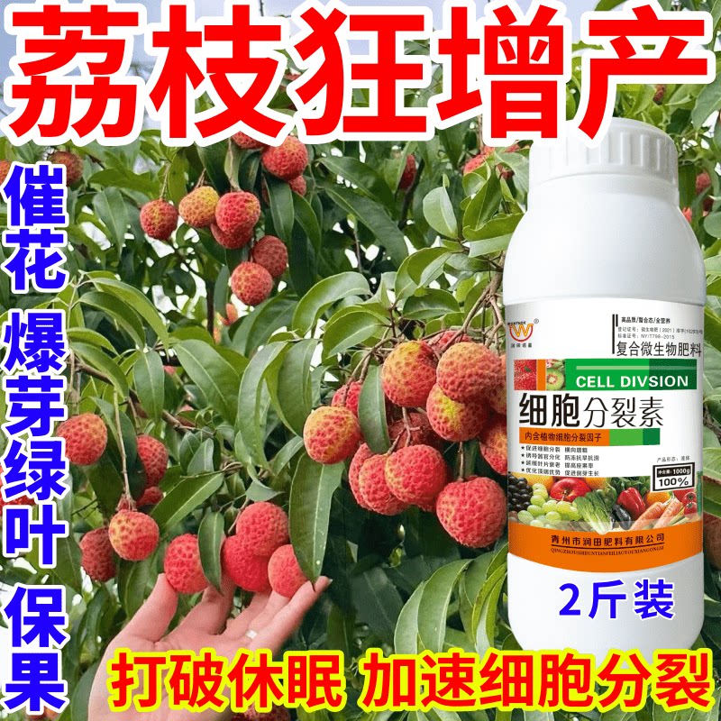 荔枝狂增产果树叶面肥爆芽素促花芽分化增产增收催芽剂细胞分裂素