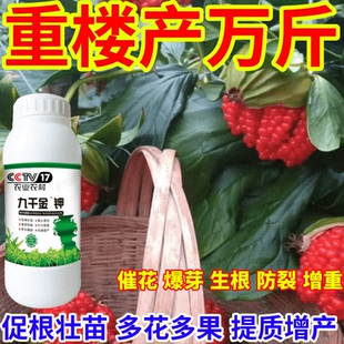 重楼产万斤抗寒抗冻保花保果九千金钾催产爆芽增收叶面肥绿叶生根