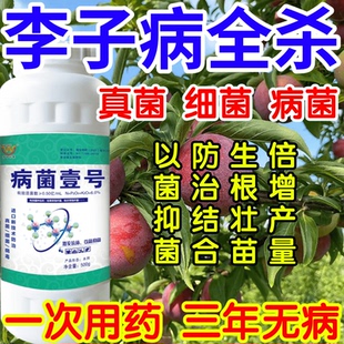 李子病全杀以菌抑菌病菌壹号生根绿叶生物防治果树蔬菜花卉杀菌剂