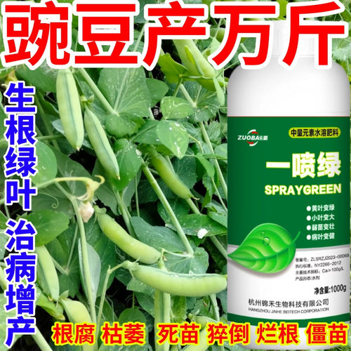 豌豆产万斤黄叶小叶卷叶落叶茶叶水果蔬菜经济作物通用营养叶面肥