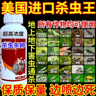 美国进口杀虫王药蚜虫蓟马腻虫跳甲蚧壳虫果树蔬菜花卉通用杀虫剂