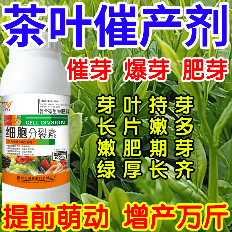 茶叶催产剂强力催芽爆芽提前发芽打破休眠增产茶叶茶树专用叶面肥